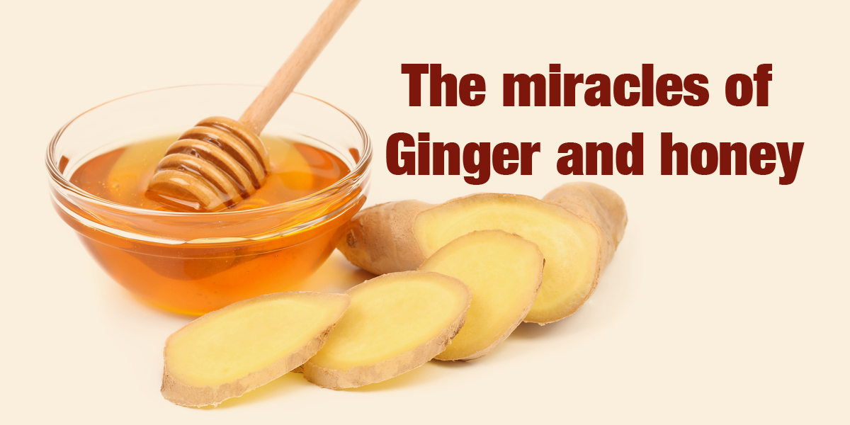 The Miraculous Health Benefits of Ginger and Honey: How this Combination Can Improve Your Wellbeing - Dr. Brahmanand Nayak The Miraculous Health Benefits of Ginger and Honey: How this Combination Can Improve Your Wellbeing - Dr. Brahmanand Nayak