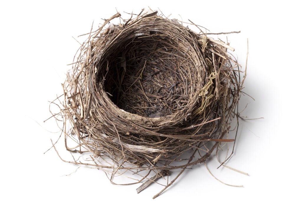 Empty Nest Syndrome