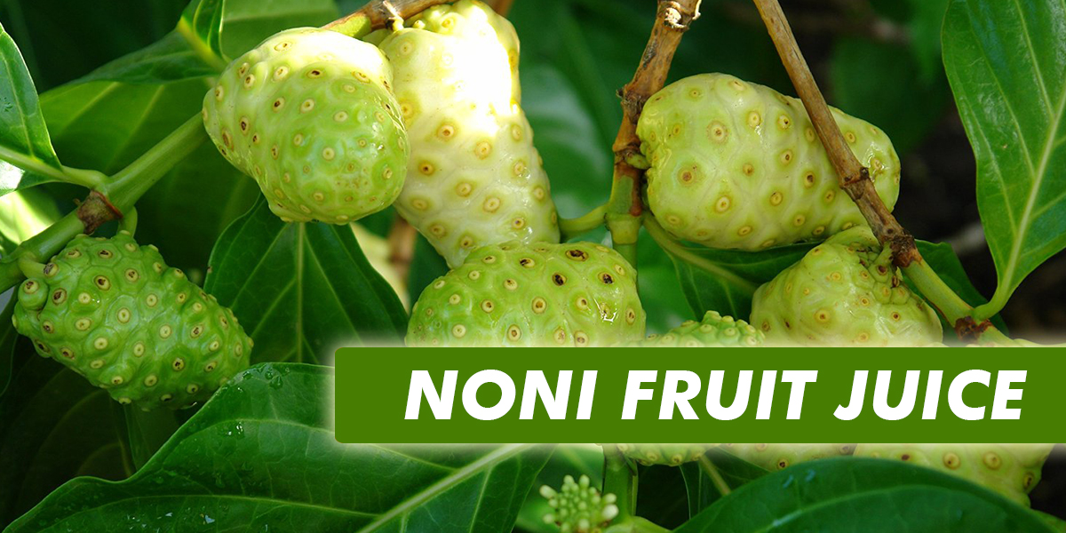 NONI FRUIT JUICE