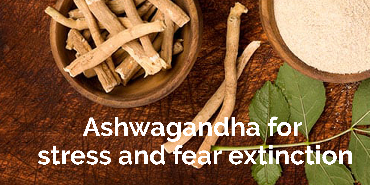 Can Ashwagandha ease your fears? Ayurvedic Doctor shares scientific facts