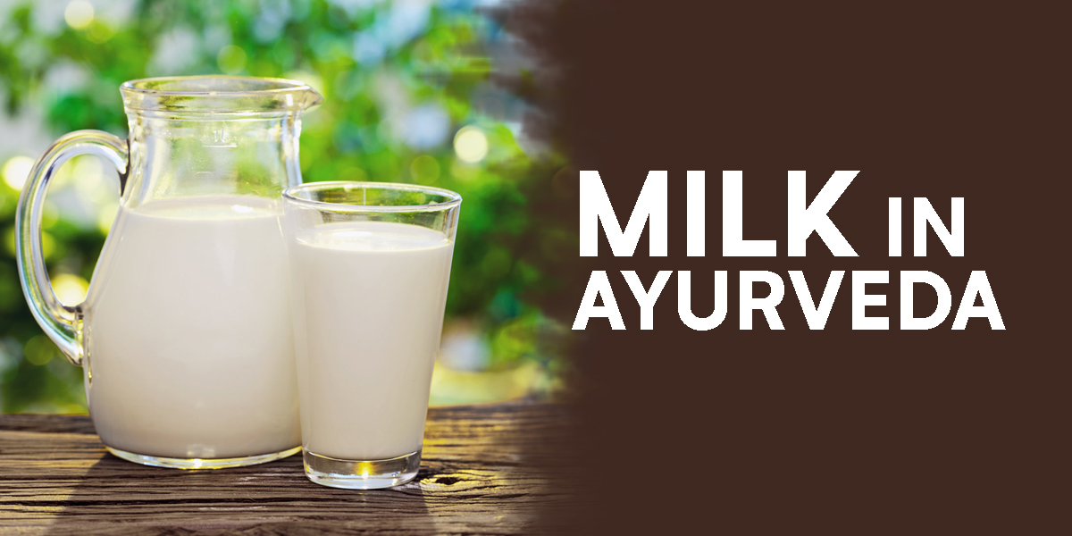 An Ayurvedic Doctor’s take on MILK