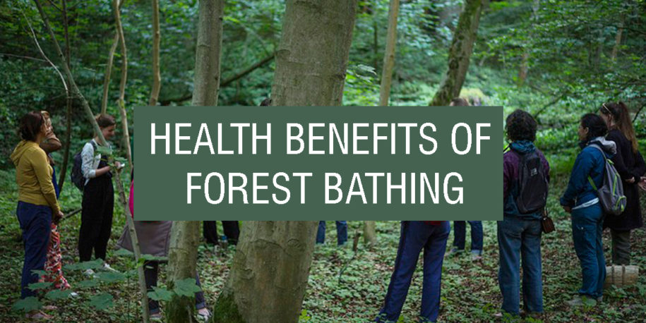 Revitalize Your Mind and Body: Why Forest Bathing is a Must-Try for ...