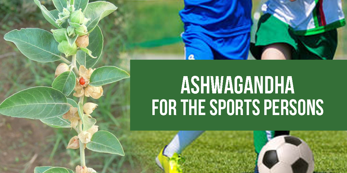 Ayurvedic Doctor recommends Ashwagandha to every athlete. But why?