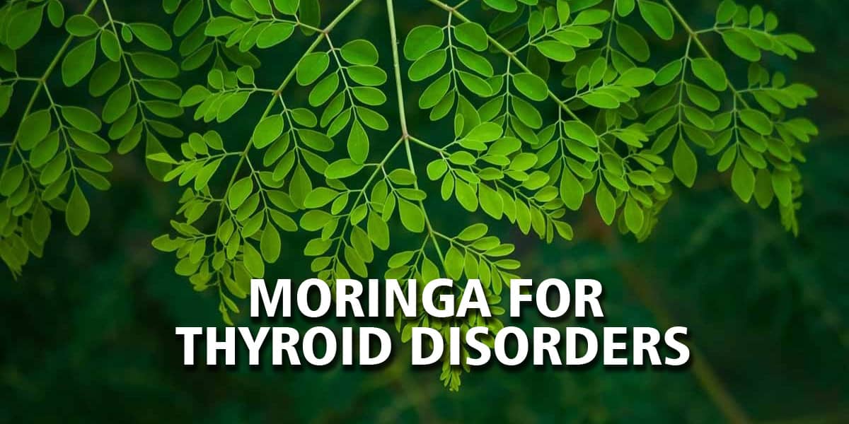 Moringa for Thyroid Disorders | Ayurvedic Doctor’s take on modern research
