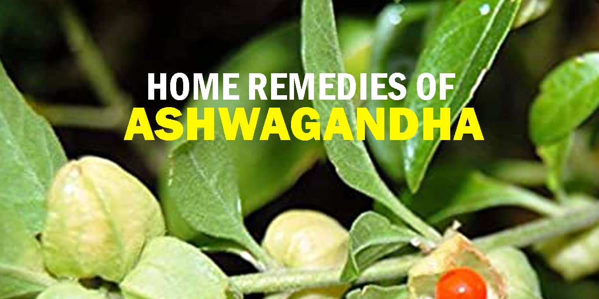 Ayurvedic Doctor shares amazing Home Remedies of Ashwagandha