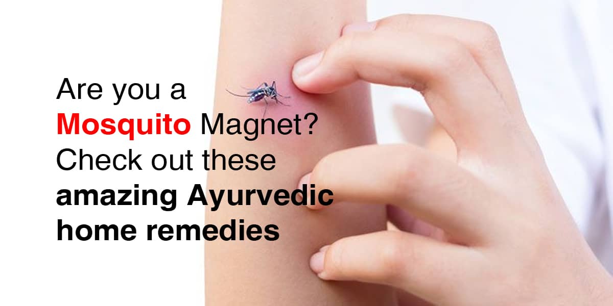 Are you a Mosquito Magnet? Check out these amazing Ayurvedic home remedies!