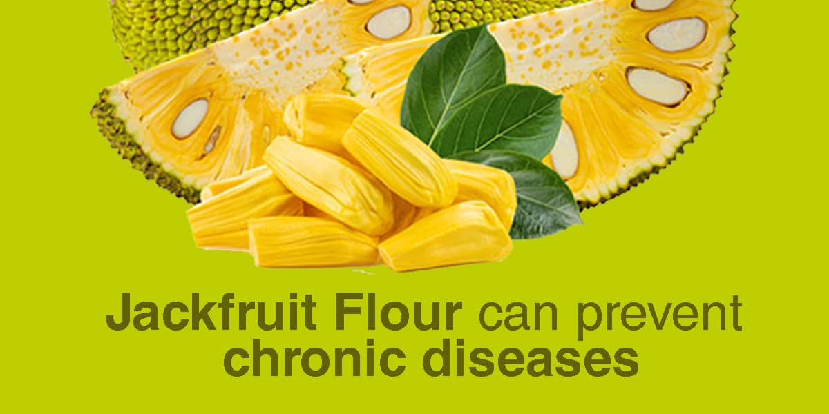 Ayurvedic Doctor says Jackfruit Flour can prevent chronic diseases 