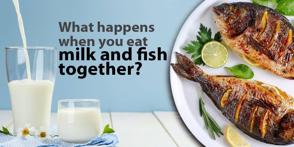 why we should not eat fish and milk together