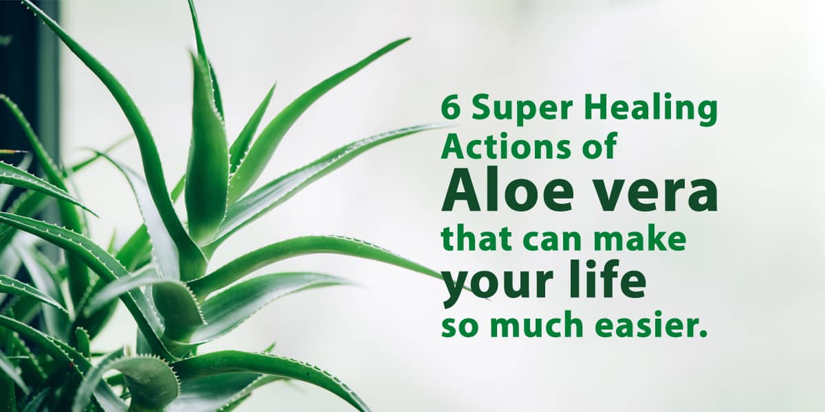 ALOE VERA HEALING BENEFITS