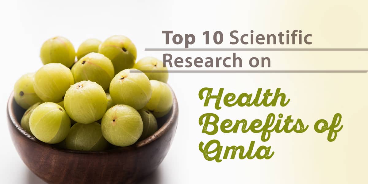 Top 10 Scientific Studies on the Health Benefits of Amla: Discover the  Power of this Ancient Superfood - Dr. Brahmanand Nayak