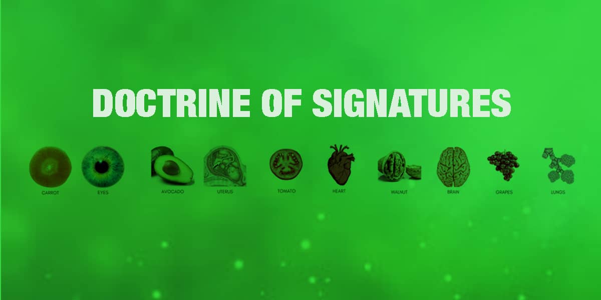 Doctrine of Signatures