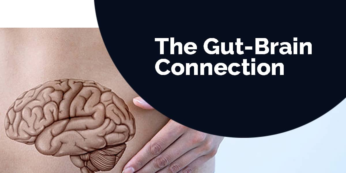 Gut Brain Connection