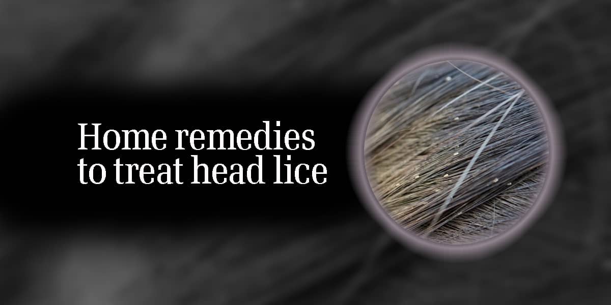 HOME REMEDIES FOR LICE