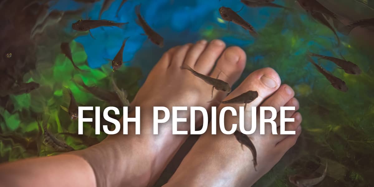 Fish Pedicure Spa – Benefits and Risks!