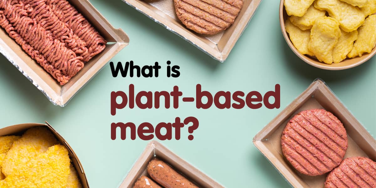 WHAT IS PLANT-BASED MEAT