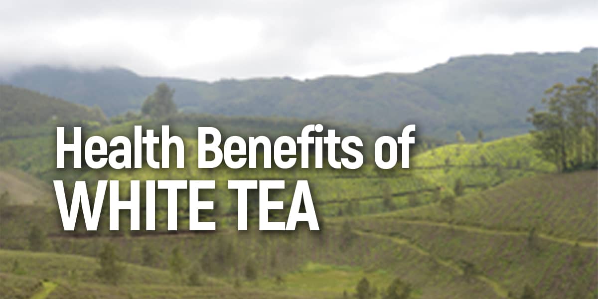 AYURVEDIC DOCTOR EXPLAINS THE HEALTH BENEFITS OF WHITE TEA