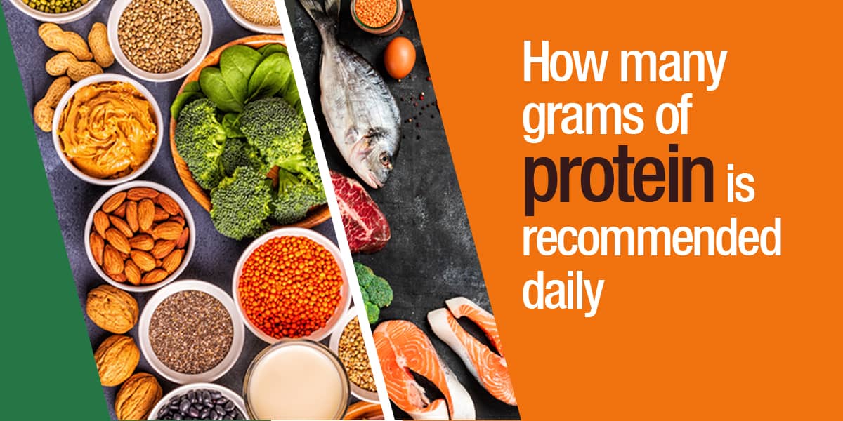 How Much Protein do you need every day?