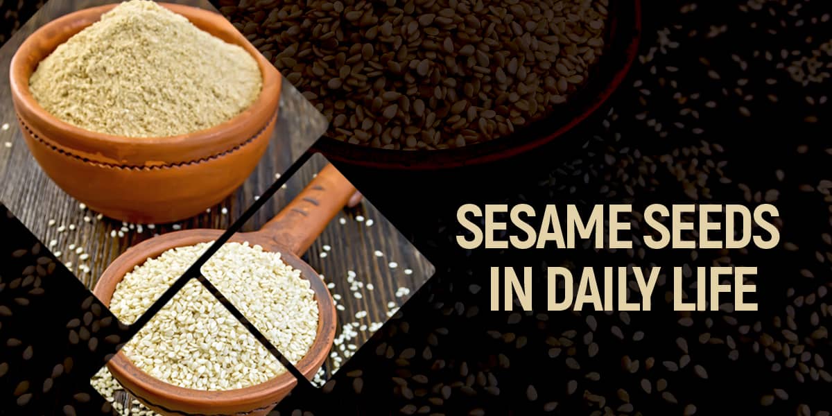 AYURVEDIC DOCTOR EXPLAINS HEALTH BENEFITS OF SESAME SEEDS