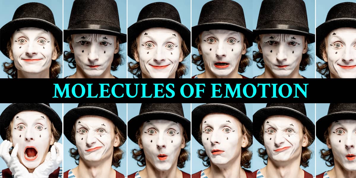 molecules of emotions
