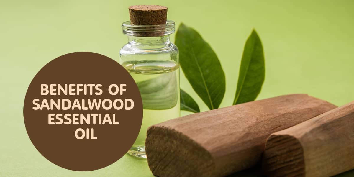 TOP AYURVEDIC DOCTOR NARRATES HEALTH BENEFITS OF SANDAL WOOD ESSENTIAL OIL