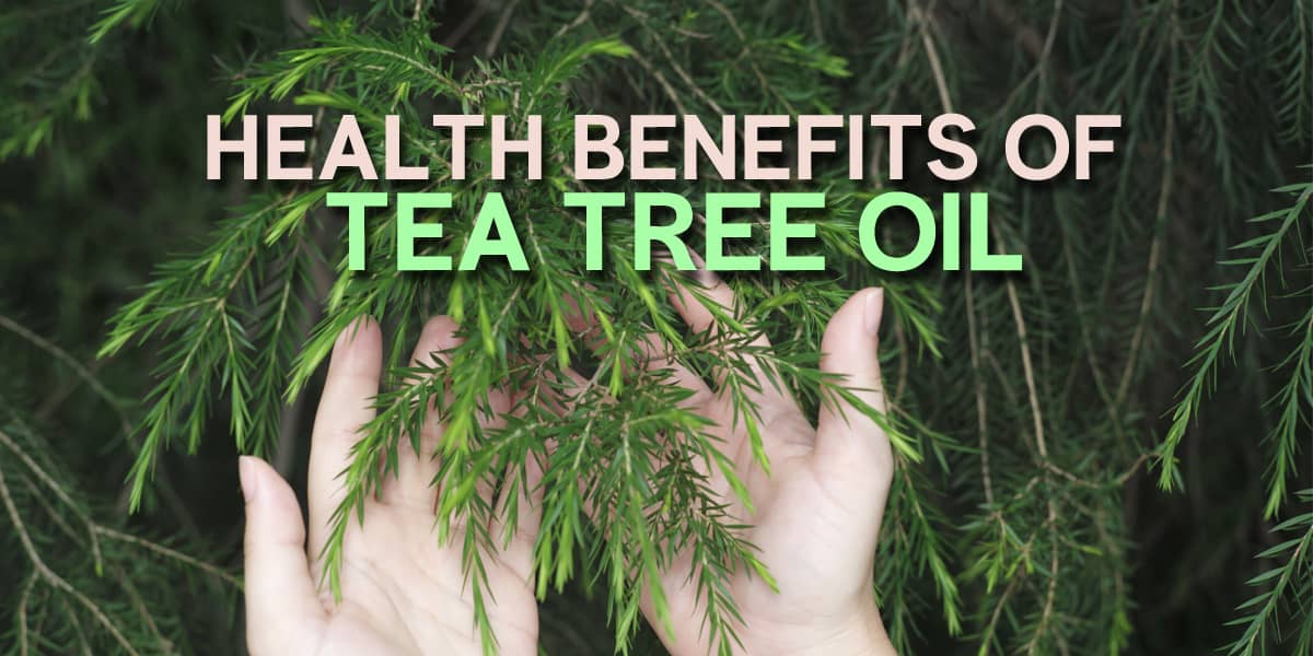 Tea Tree oil benefits