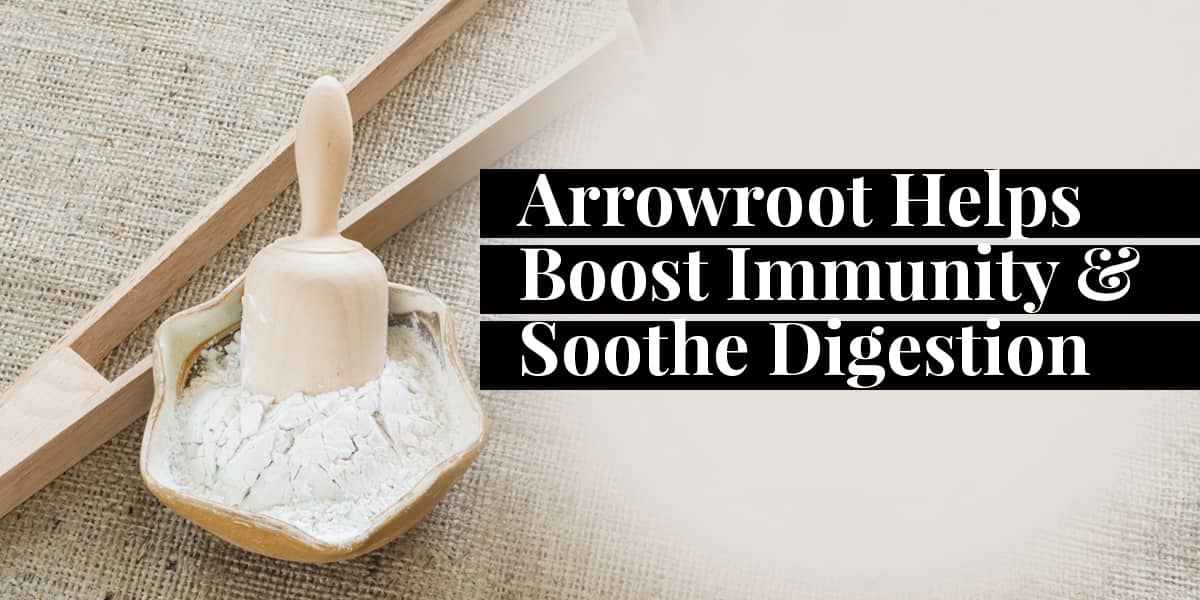8 Interesting Benefits of Arrowroot