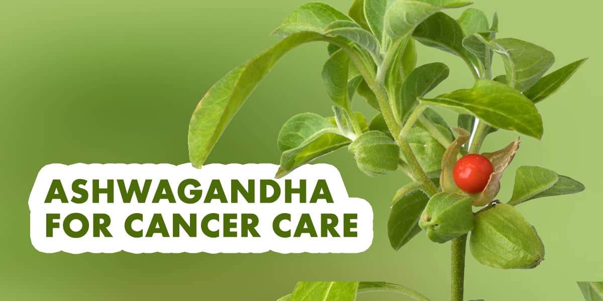 BEST AYURVEDIC DOCTOR IN BANGALORE WRITES ABOUT ASHWAGANDHA IN CANCER CARE