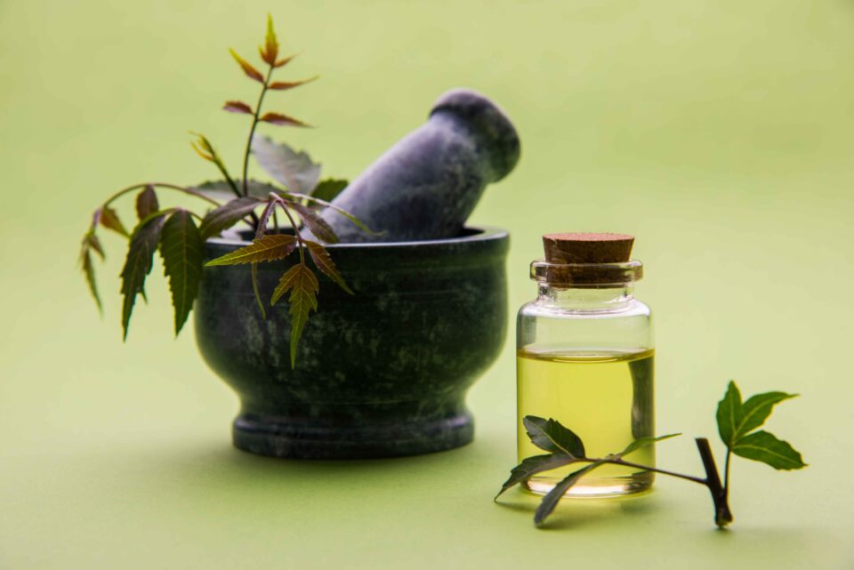 NEEM OIL FOR SKINCARE- AYURVEDIC DOCTOR'S ADVICE