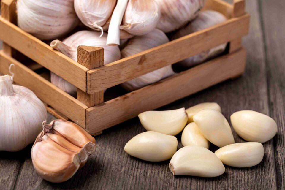 AYURVEDIC DOCTOR'S TAKE ON GARLIC FOR CHRONIC KIDNEY DISEASE