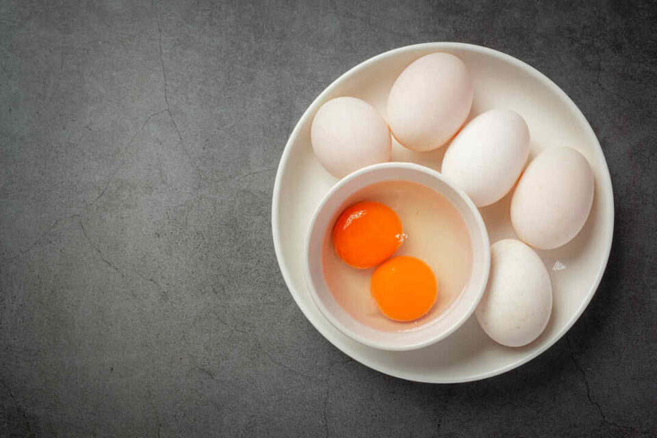 why you should eat egg yolk?