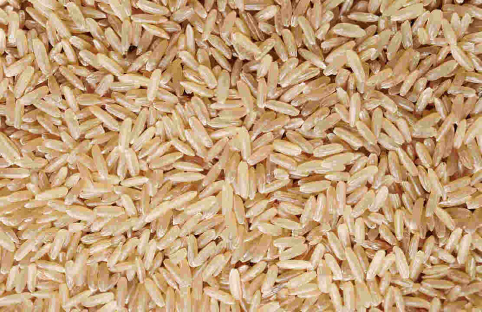 Is brown rice better than white rice for you?