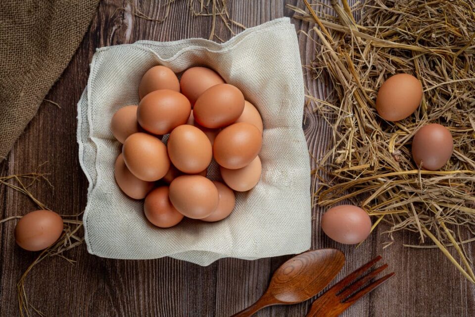 OGANIC EGGS VS REGULAR EGGS: HEALTH BENEFITS