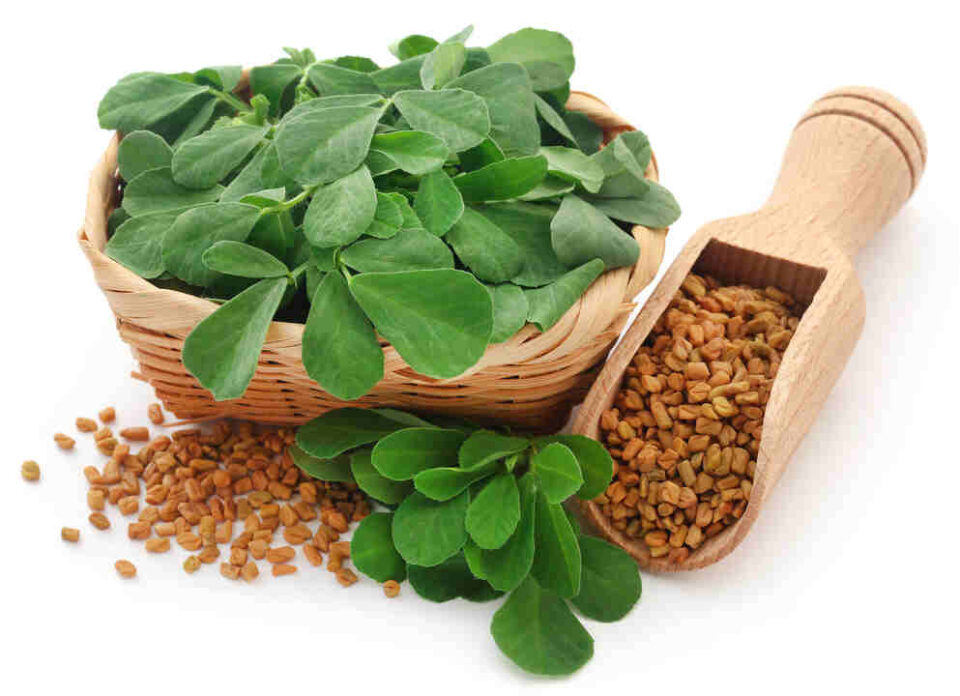 METHI FOR WOMEN