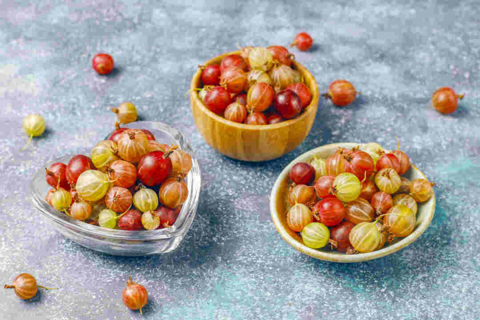 AMLA: INDIAN GOOSEBERRY - ANTI AGEING FRUIT: BENEFITS