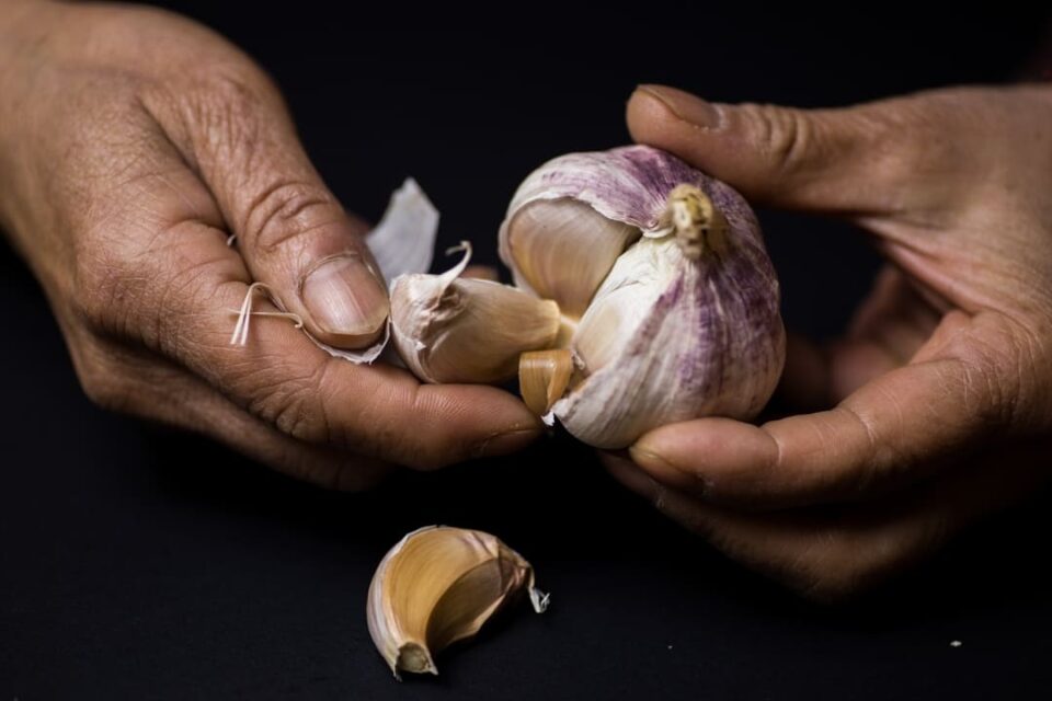 Does garlic reduce cholesterol?