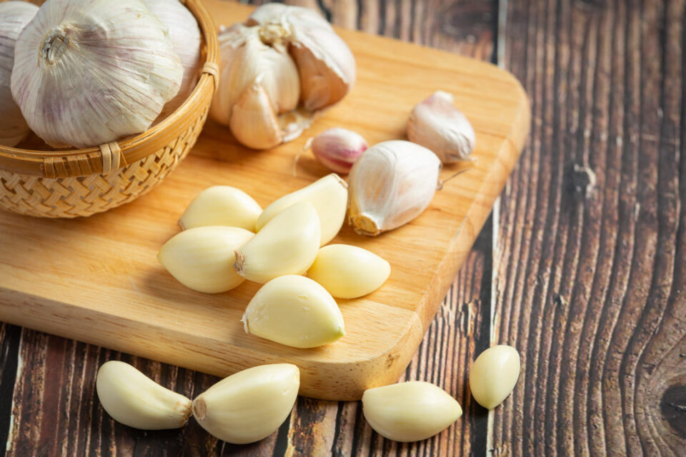 garlic for parasites infections