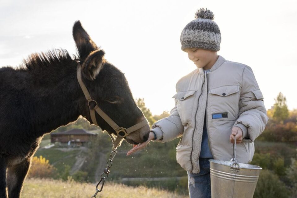 donkey milk for children