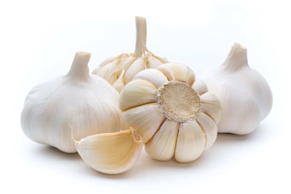What is the evidence for taking garlic to reduce cholesterol?