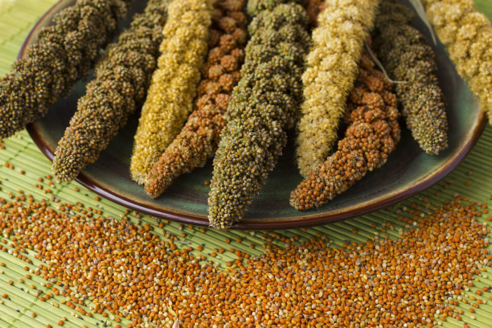 Is eating millets good for thyroid patients?