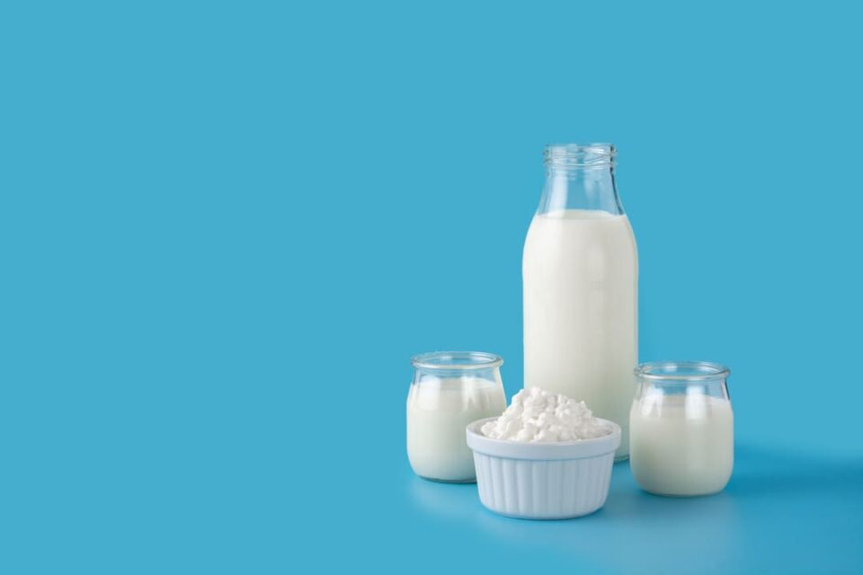 Probiotics and Prebiotics: Balancing Gut Health with Indian Foods