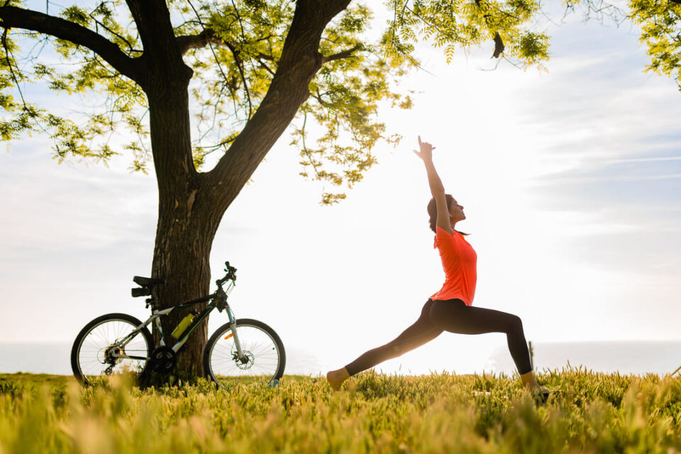 What is the concept of immunity in Ayurveda?