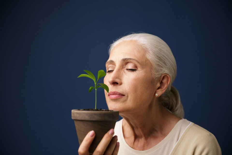 Ayurveda and Longevity