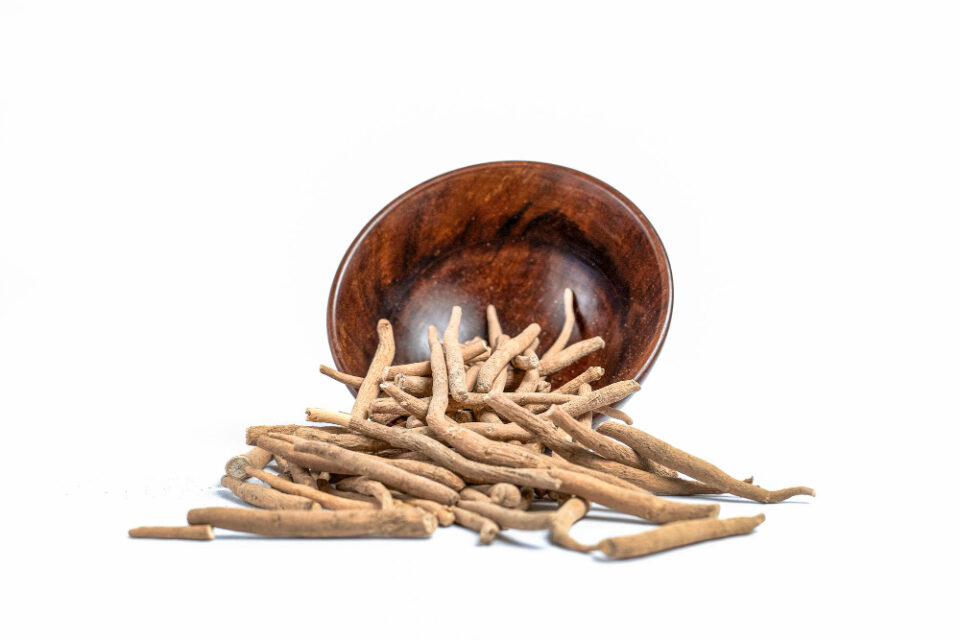 Does ashwagandha suit everyone?Why is everyone taking ashwagandha?