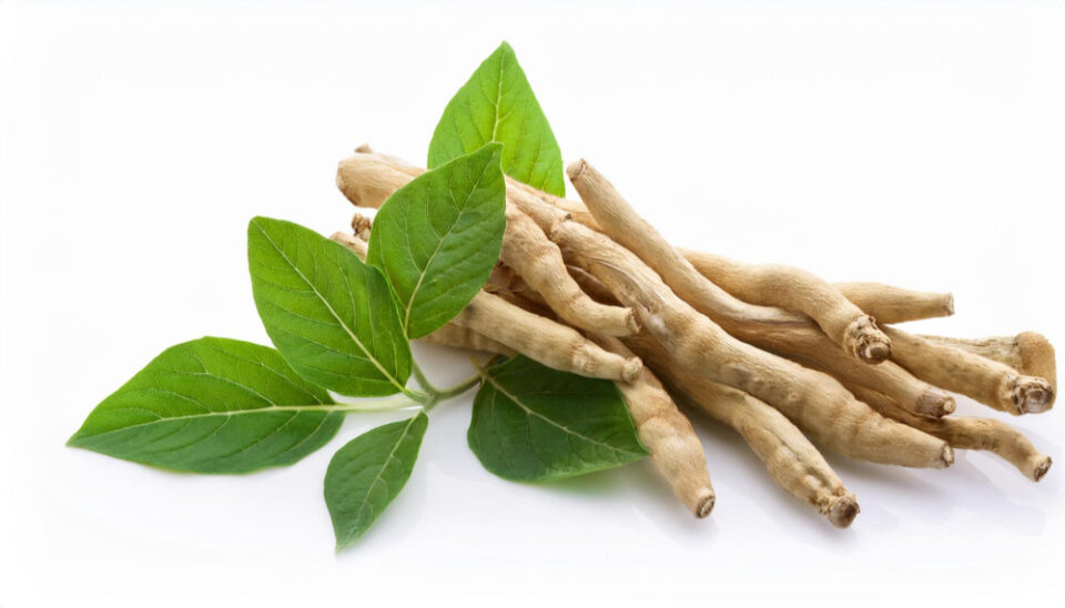 Why is ashwagandha leaf banned in India