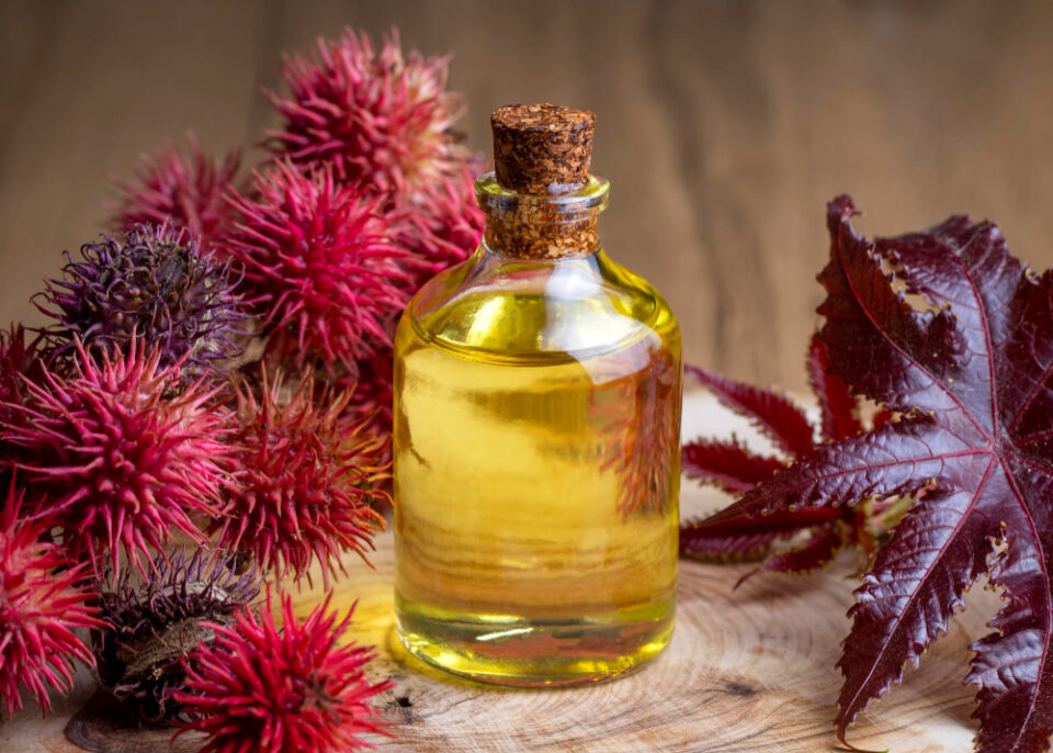 Castor oil benefits and side effects