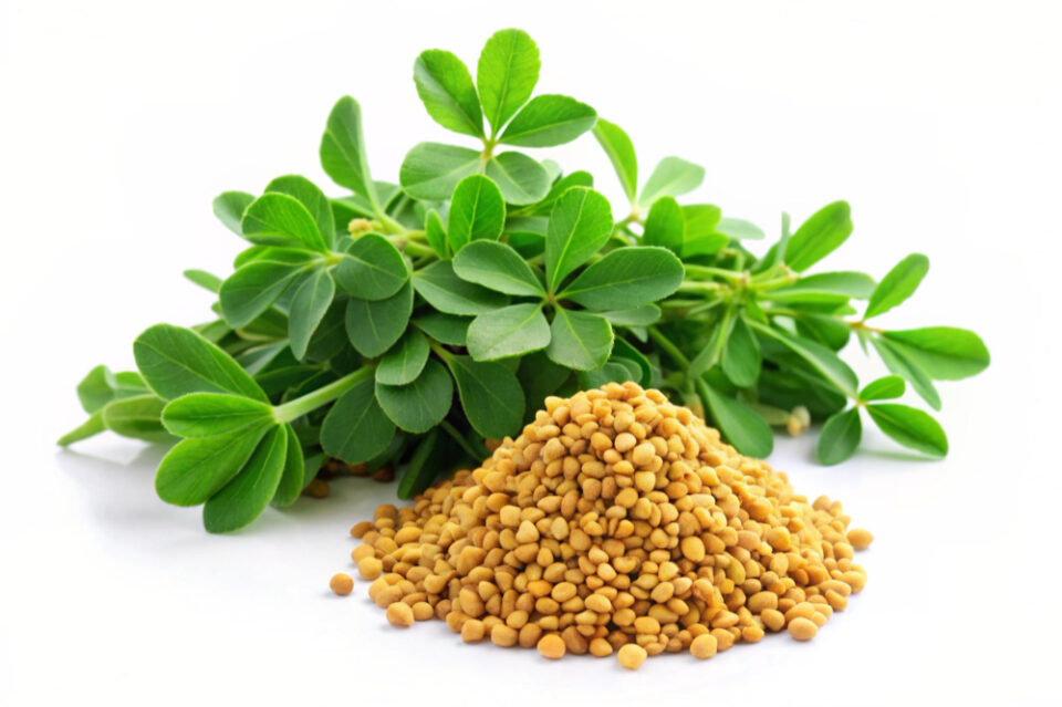Methi banned in Bhayandar school